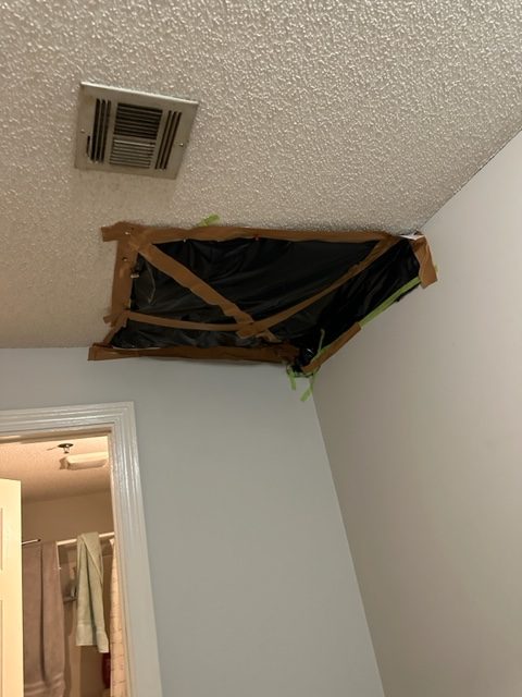 ceiling